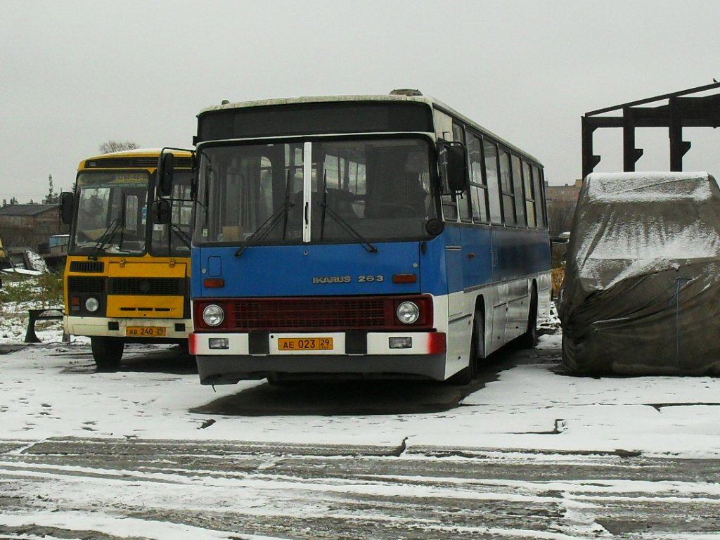 Архангельская область, Ikarus 263.10 № АЕ 023 29