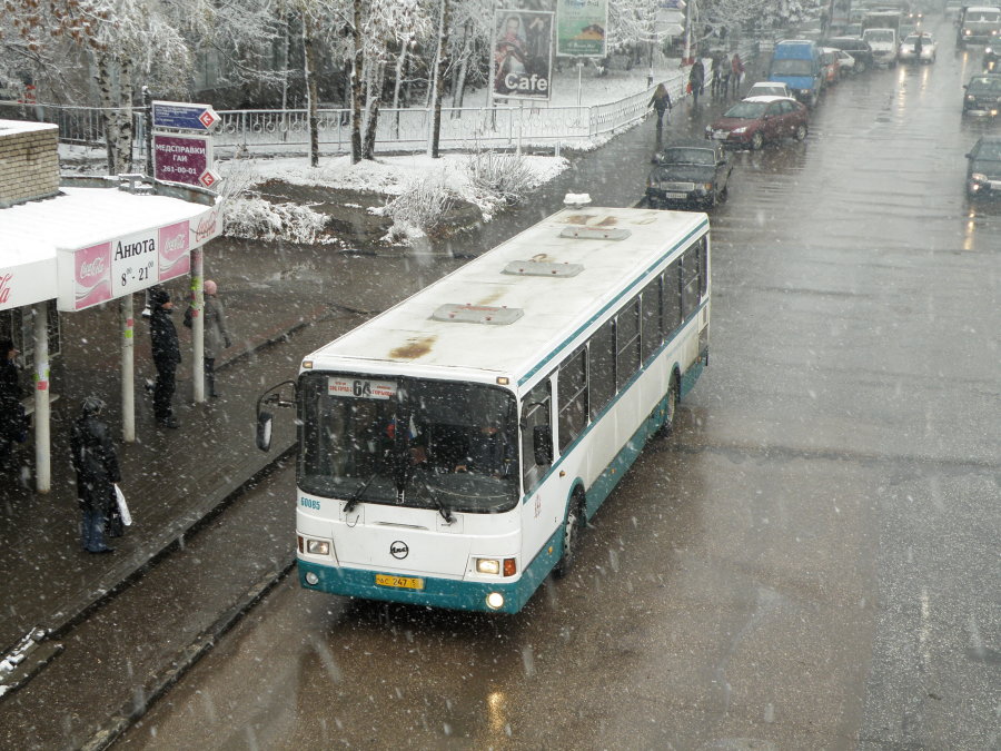 Нижегородская область, ЛиАЗ-5293.00 № 60085