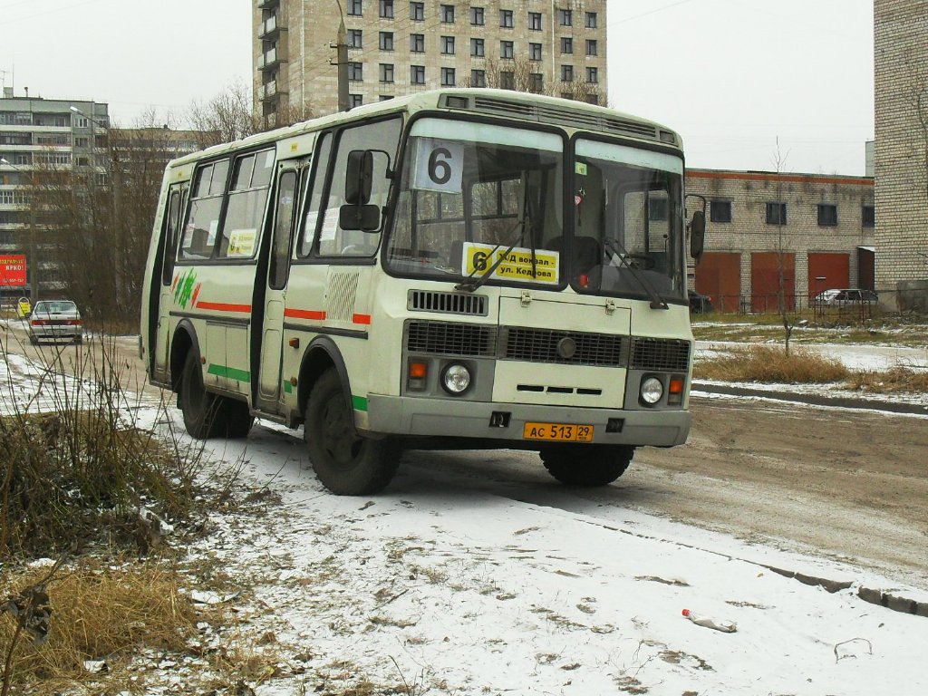 Архангельская область, ПАЗ-32054 № АС 513 29