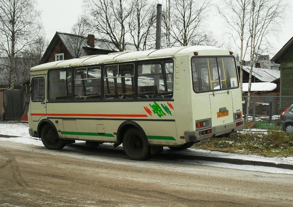 Архангельская область, ПАЗ-32054 № АС 513 29