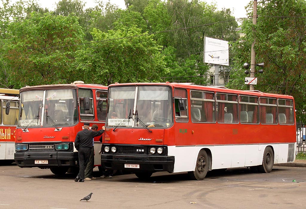 Автовокзал гомель