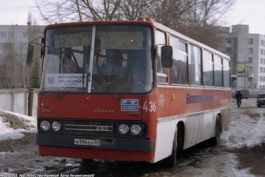 Автобусы ишимбай салават сегодня. Ikarus 256. Автобус Икарус Уфа. Икарус 256 Фотобус. Колпаки Икарус 256.