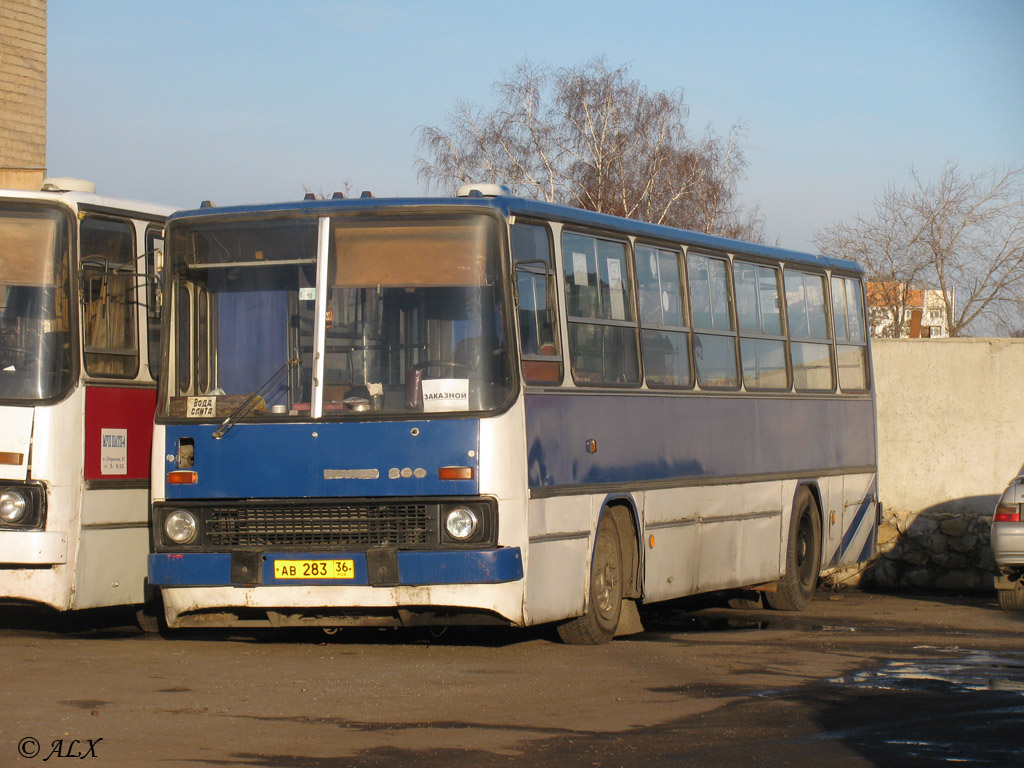 Воронежская область, Ikarus 280.33 № АВ 283 36