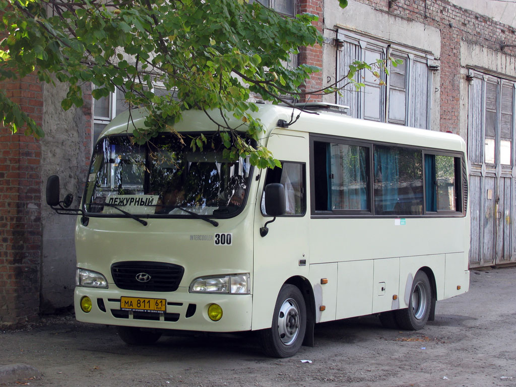 Ростовская область, Hyundai County SWB C08 (РЗГА) № 300