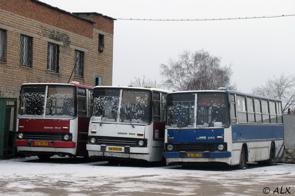 Воронежская область, Ikarus 280.33 № АВ 283 36; Воронежская область — Разные фотографии