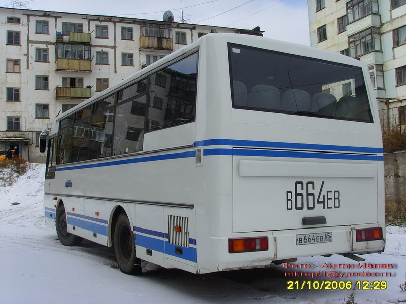 Сахалинская область, ПАЗ-4230-01 (1-1) № В 664 ЕВ 65