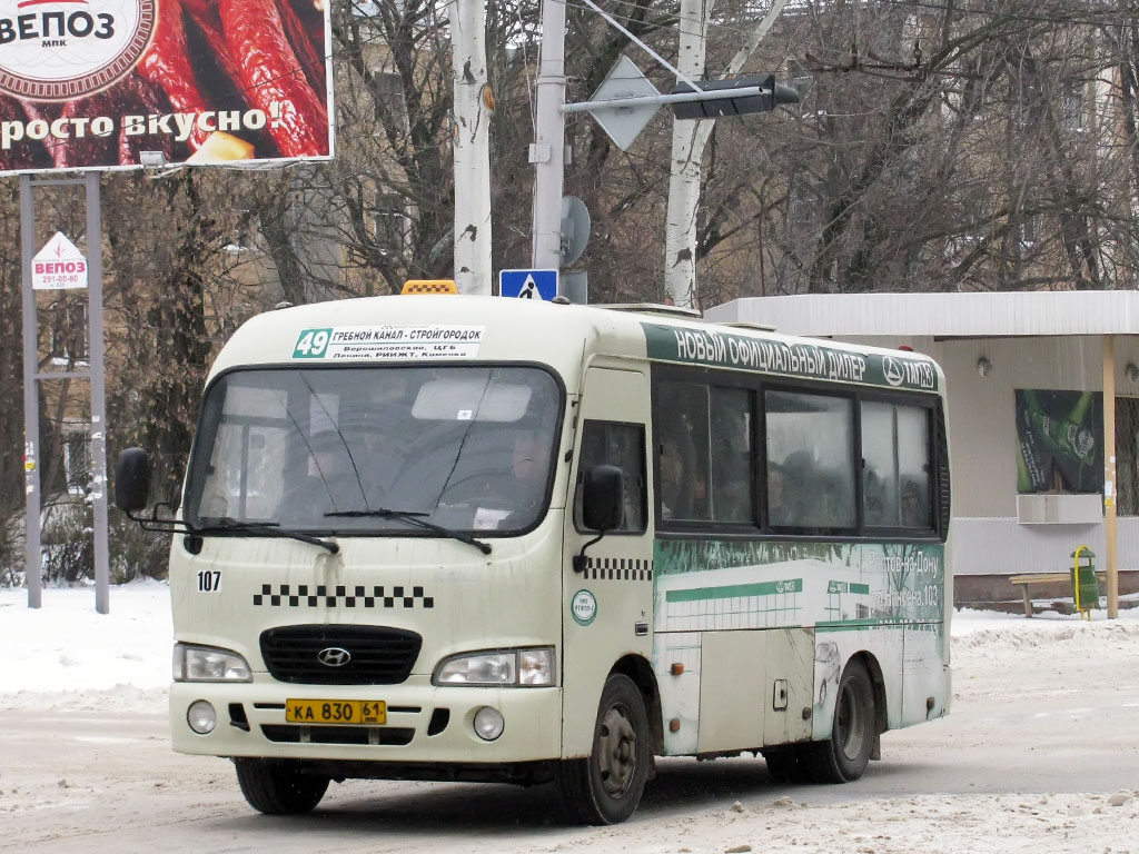 Ростовская область, Hyundai County SWB C08 (РЗГА) № 107