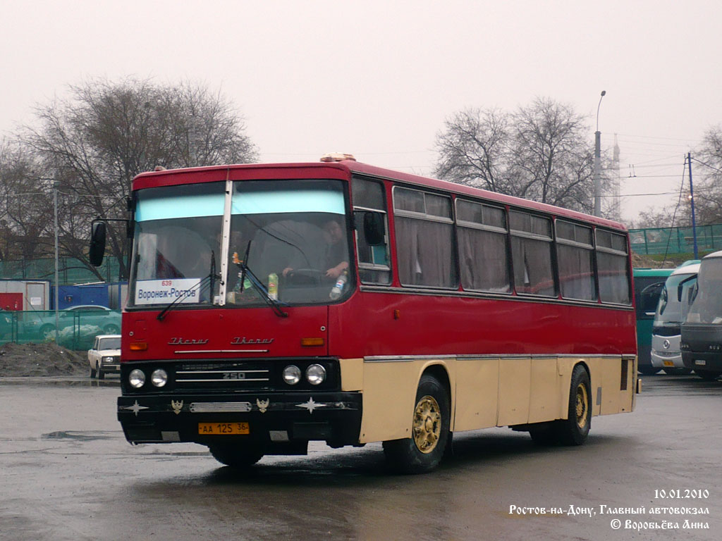 Воронежская область, Ikarus 256.54 № АА 125 36 — Фото — Автобусный транспорт