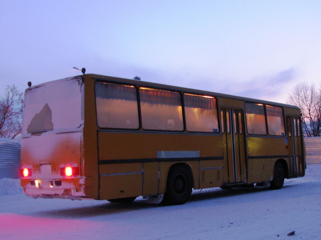 Вологодская область, Ikarus 260.43 № 104