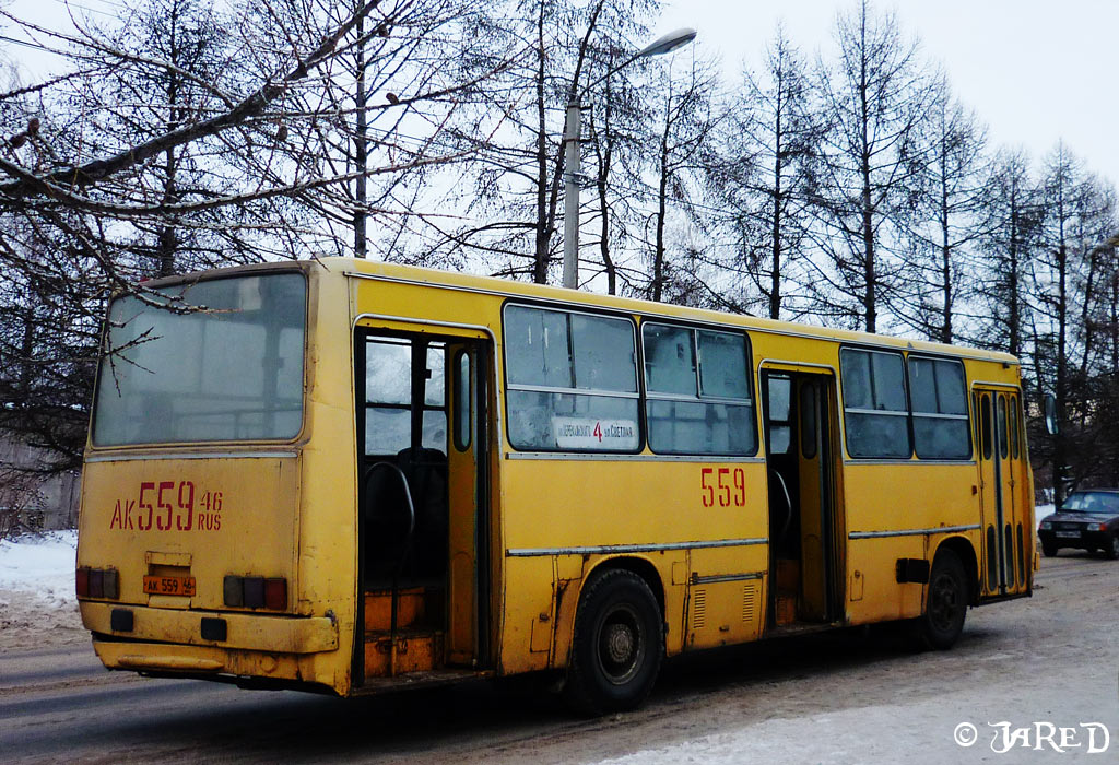 Курская область, Ikarus 260.50 № 559