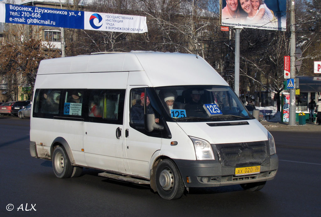 Воронежская область, Нижегородец-222702 (Ford Transit) № ВВ 212 36