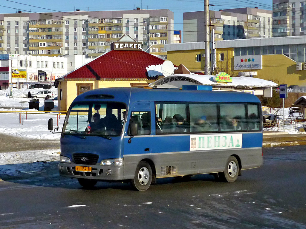 Пензенская область, Hyundai County Deluxe № 715