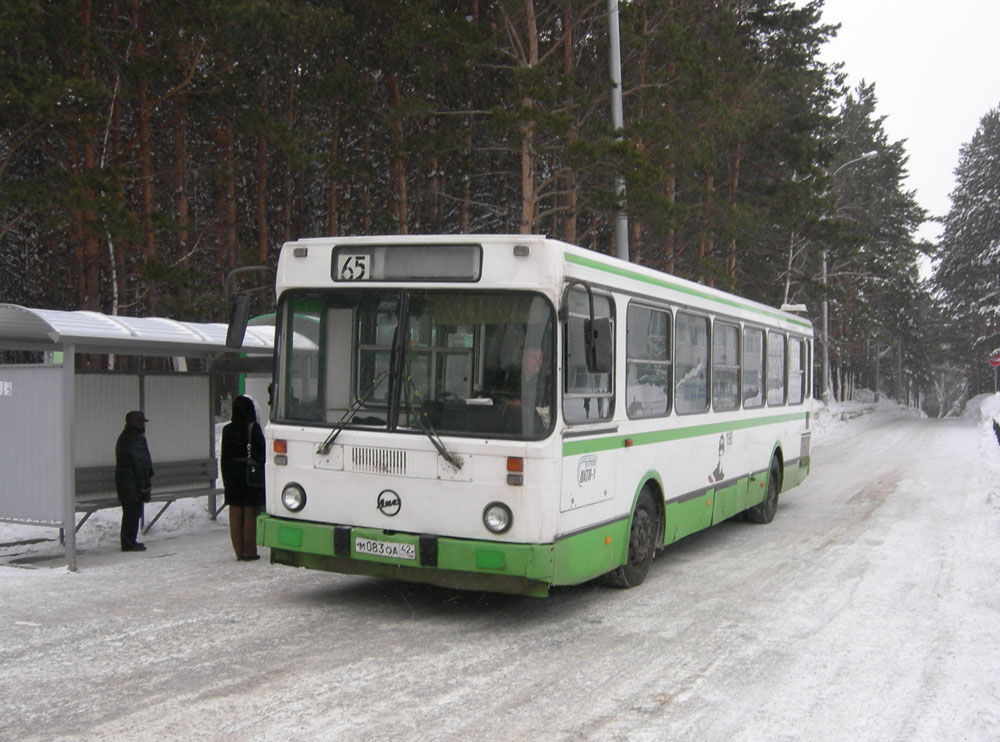 Кемеровская область - Кузбасс, ЛиАЗ-5256.30 № 196