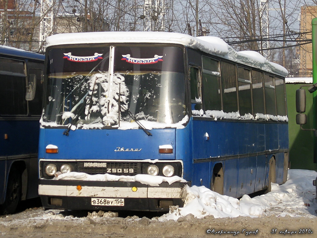 Московская область, Ikarus 250.59 № В 368 ВУ 150