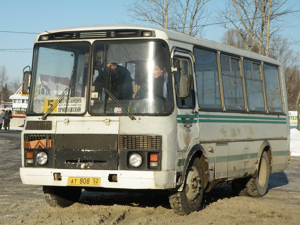 Нижегородская область, ПАЗ-32054 № 11