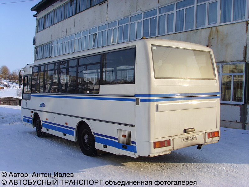 Сахалинская область, ПАЗ-4230-01 (1-1) № К 403 ОА 65