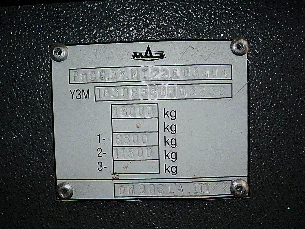 Ростовская область, МАЗ-103.065 № 607