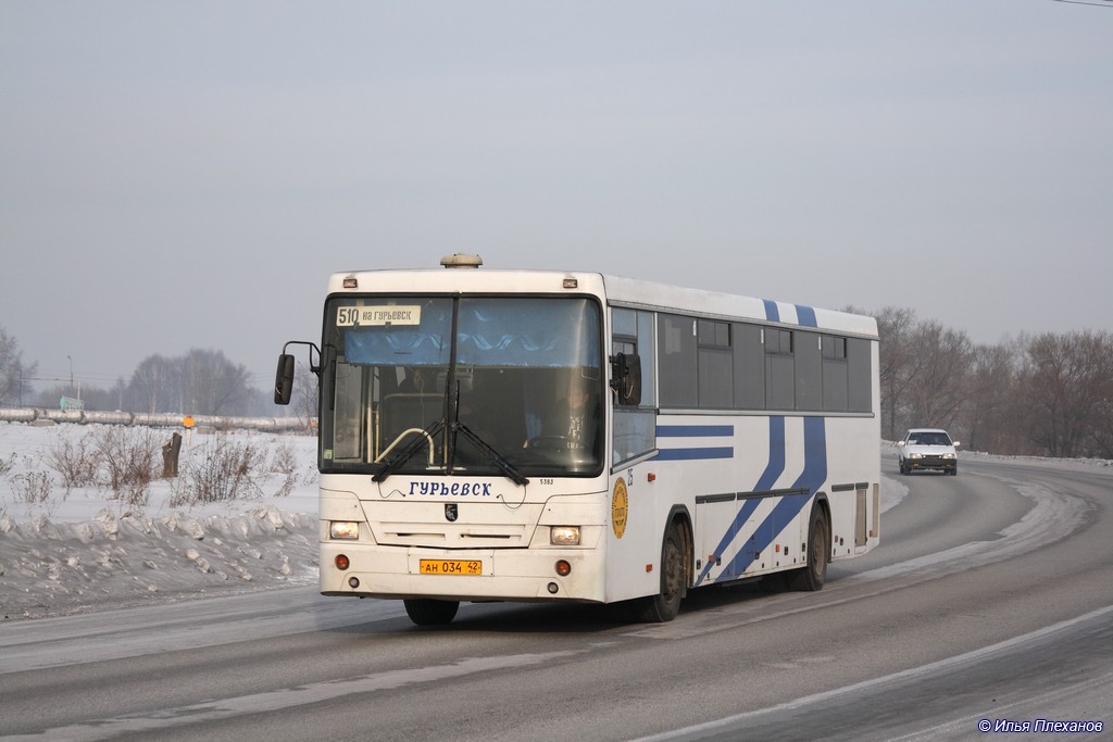 Kemerovo region - Kuzbass, NefAZ-5299-10-17 Nr. 25