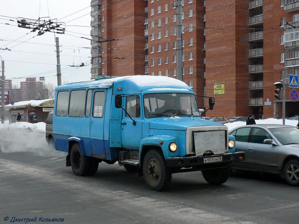 Санкт-Петербург, Псковавто СТГ-03 № В 951 РМ 78 — Фото — Автобусный  транспорт