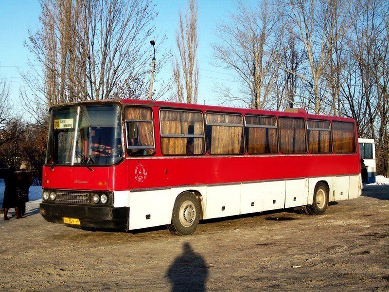 Липецкая область, Ikarus 250.59 № АС 659 48