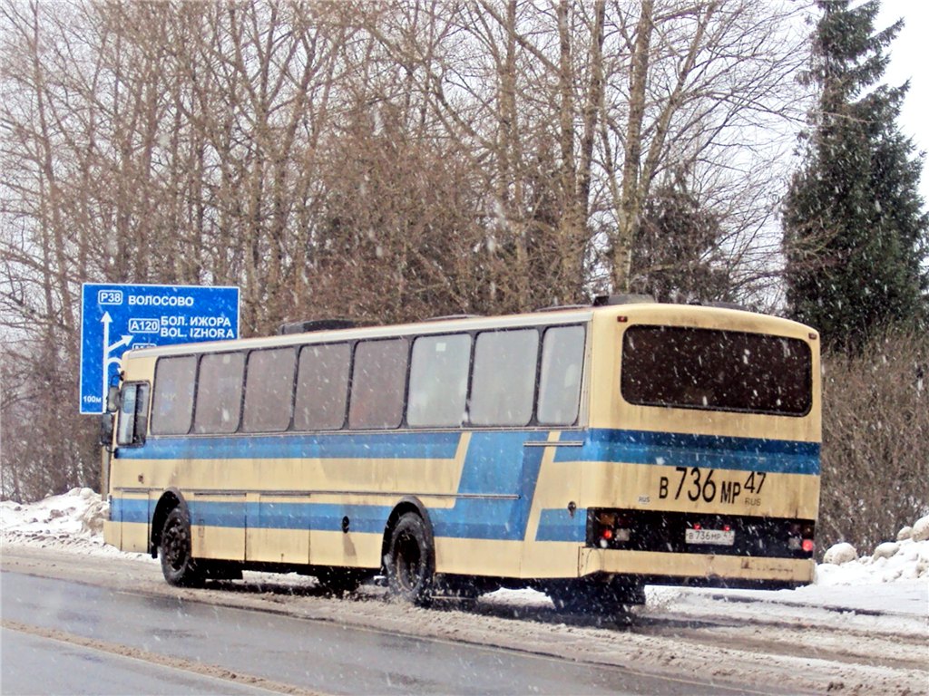 Ленінградська область, Wiima M303 № В 736 МР 47