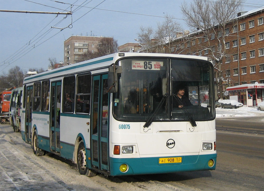 Нижегородская область, ЛиАЗ-5293.00 № 60075