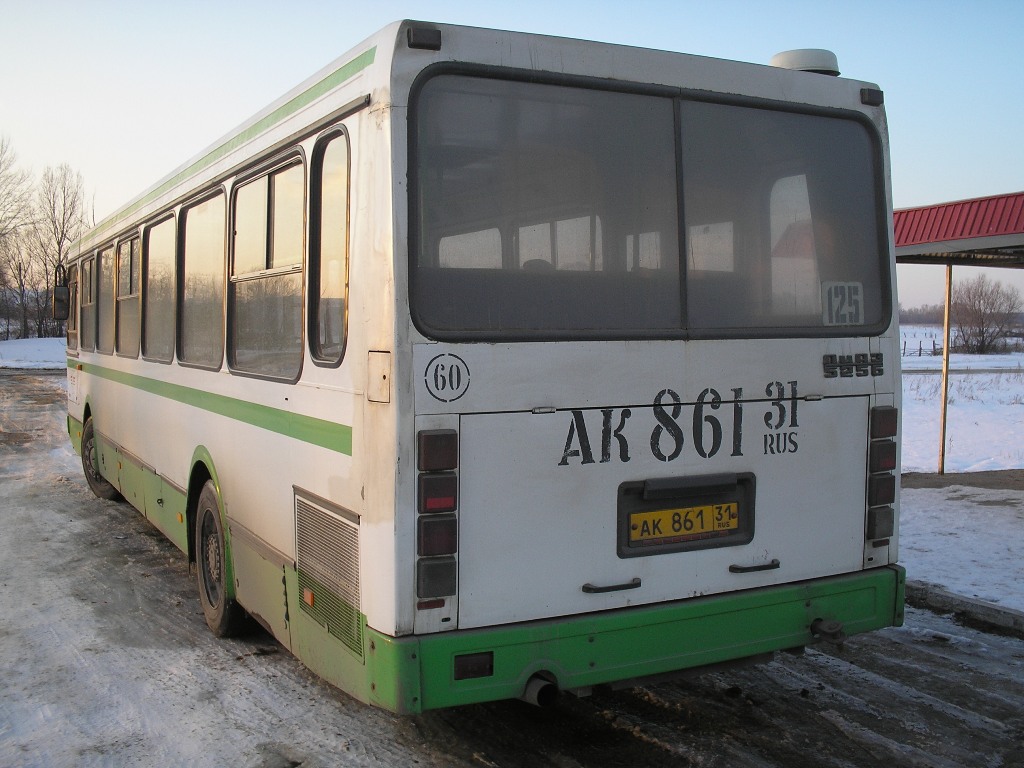 Белгородская область, ЛиАЗ-5256.40 № АК 861 31