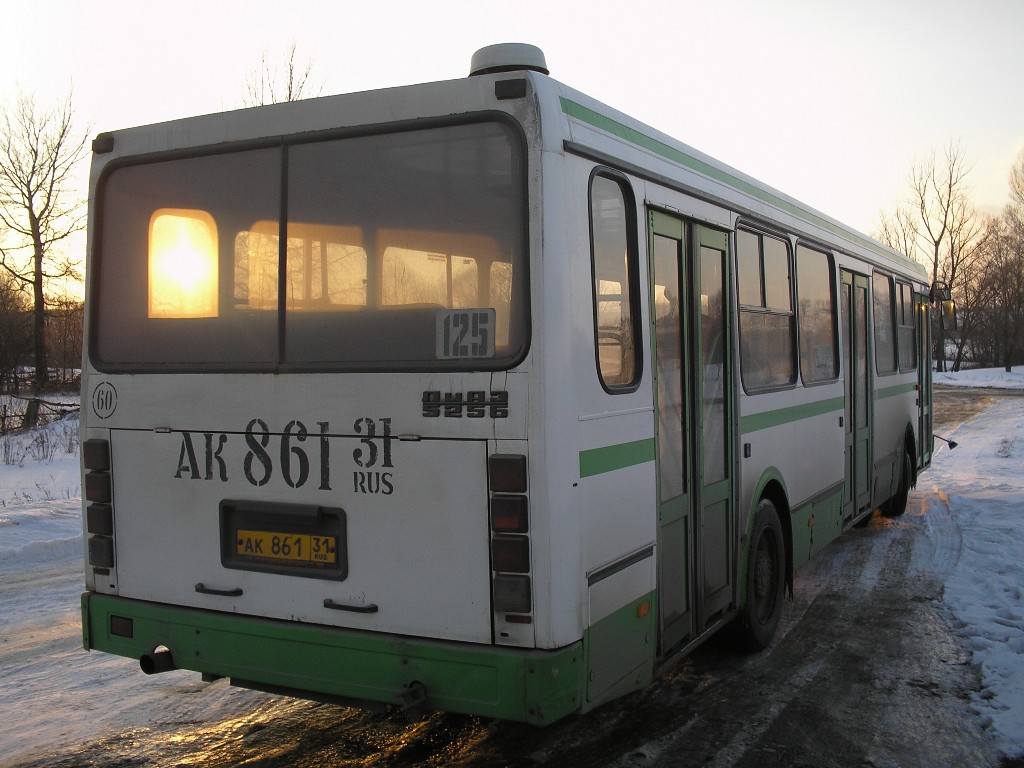 Белгородская область, ЛиАЗ-5256.40 № АК 861 31