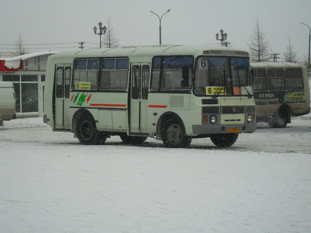 Архангельская область, ПАЗ-32054 № АЕ 076 29