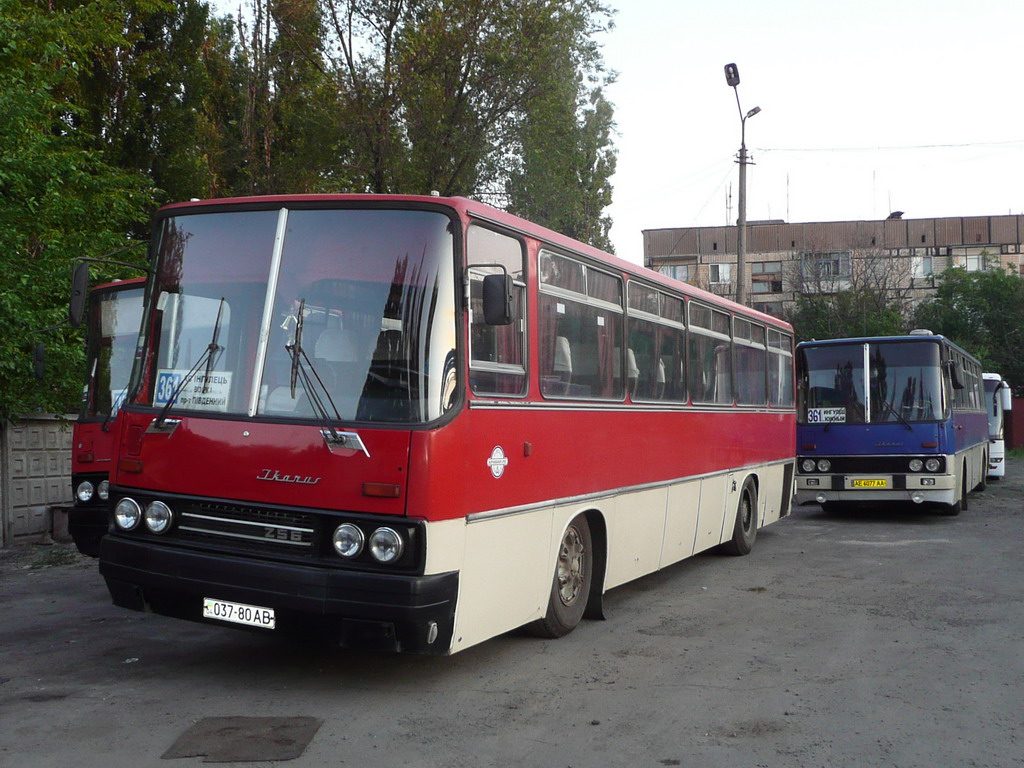 Днепропетровская область, Ikarus 256.54 № 6313