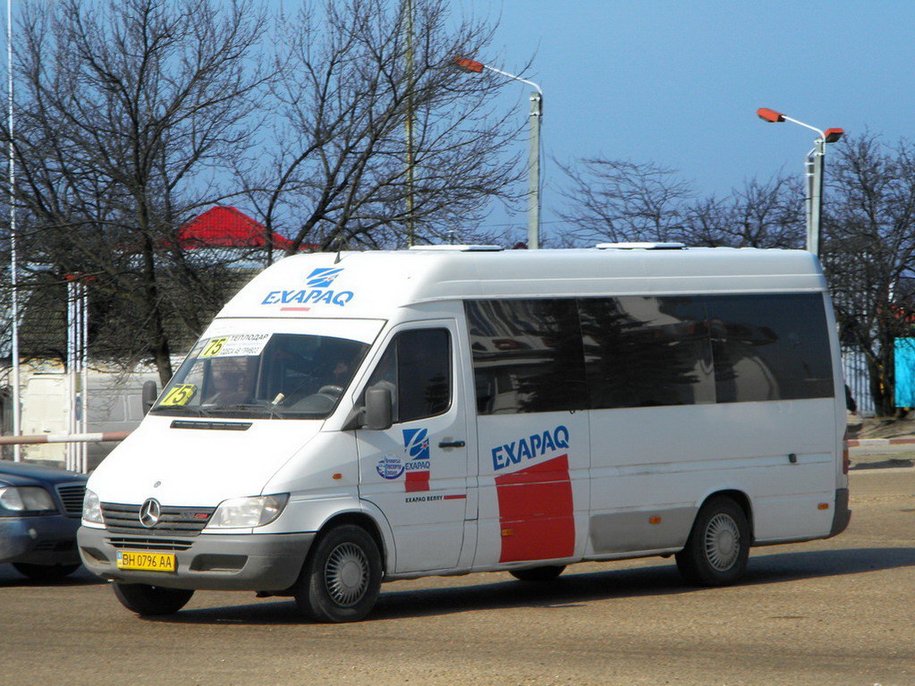 Одесская область, Mercedes-Benz Sprinter W903 308CDI № BH 0796 AA