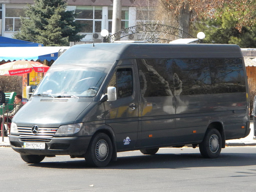 Одесская область, Mercedes-Benz Sprinter W903 313CDI № 253