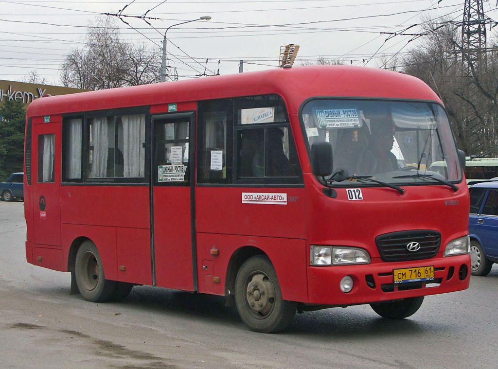 Ростовская область, Hyundai County SWB C06 (ТагАЗ) № 012