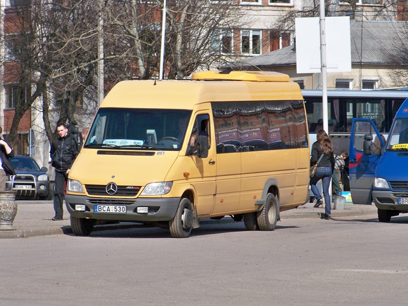 Литва, Žaibas № 007