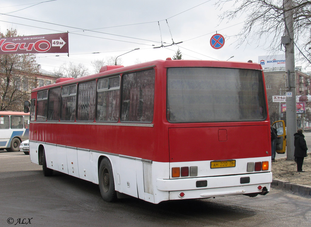 Воронежская область, Ikarus 250.59 № АМ 220 36