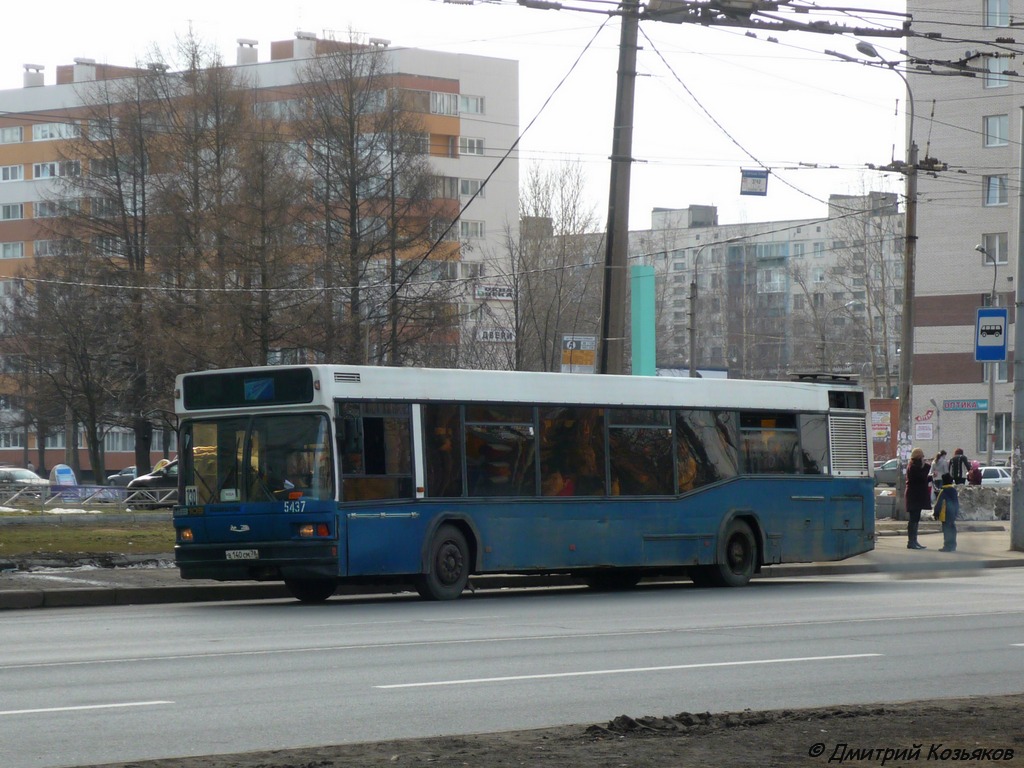 Санкт-Петербург, МАЗ-103.041 № 5437