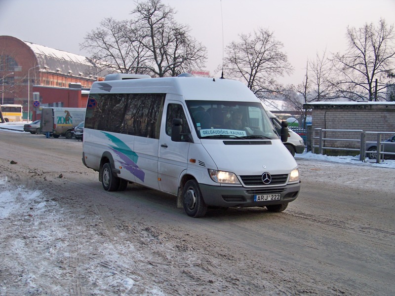 Литва, Mercedes-Benz Sprinter W904 416CDI № ARJ 222