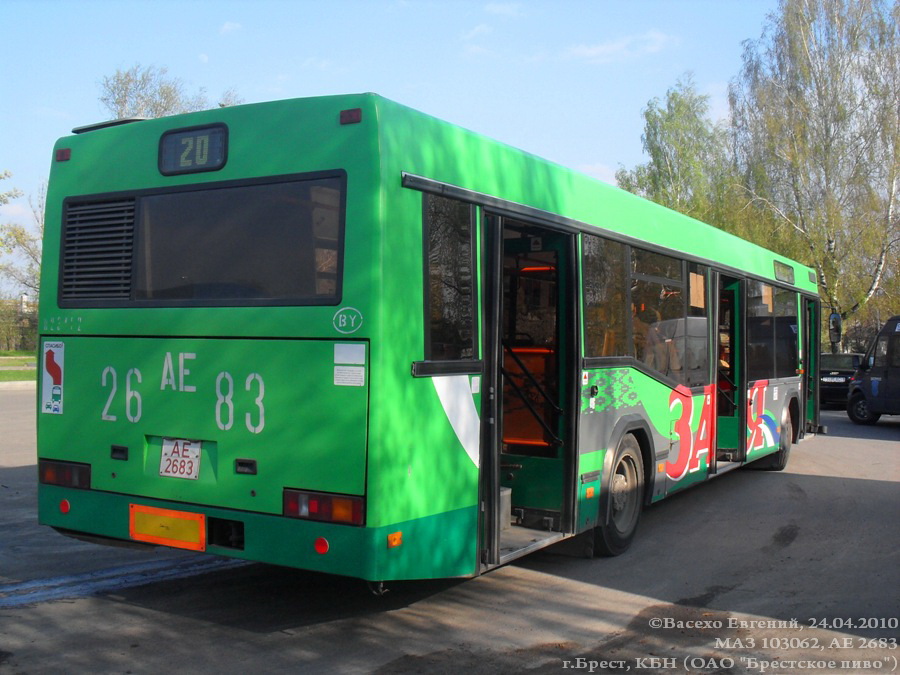 Брестская область, МАЗ-103.062 № 313