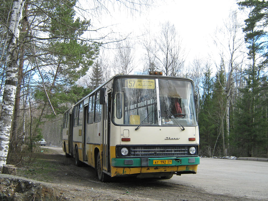 170 автобус маршрут пермь. Икарус 280 Пермь. Добрянка автостанция. Ласьвинские хутора Пермь. Автобусы Добрянка.