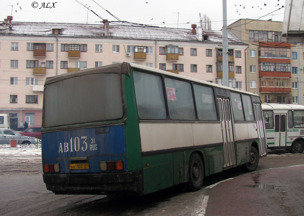 Белгородская область, Ikarus 260.43 № АВ 103 31