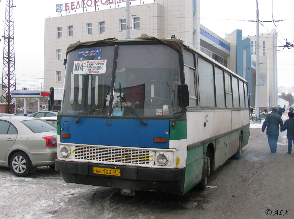 Белгородская область, Ikarus 260.43 № АВ 103 31