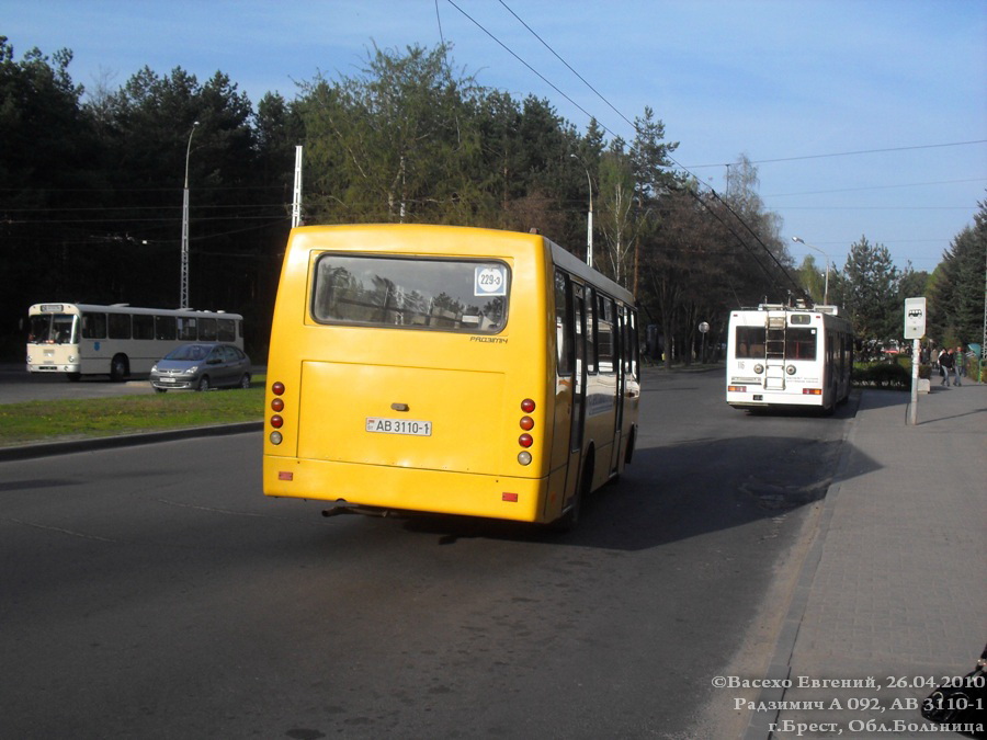 Brest region, GARZ A09202 "Radimich" № 603