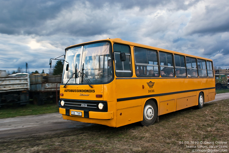 Эстония, Ikarus 260.37 № 1036