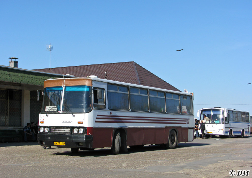 Волгоградская область, Ikarus 256.69 № 405