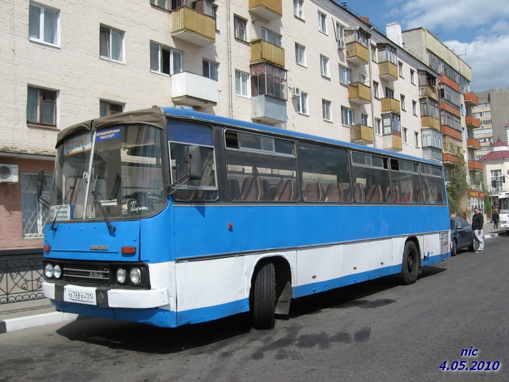 Белгородская область, Ikarus 256.51 № А 788 ВН 31 — Фото — Автобусный  транспорт