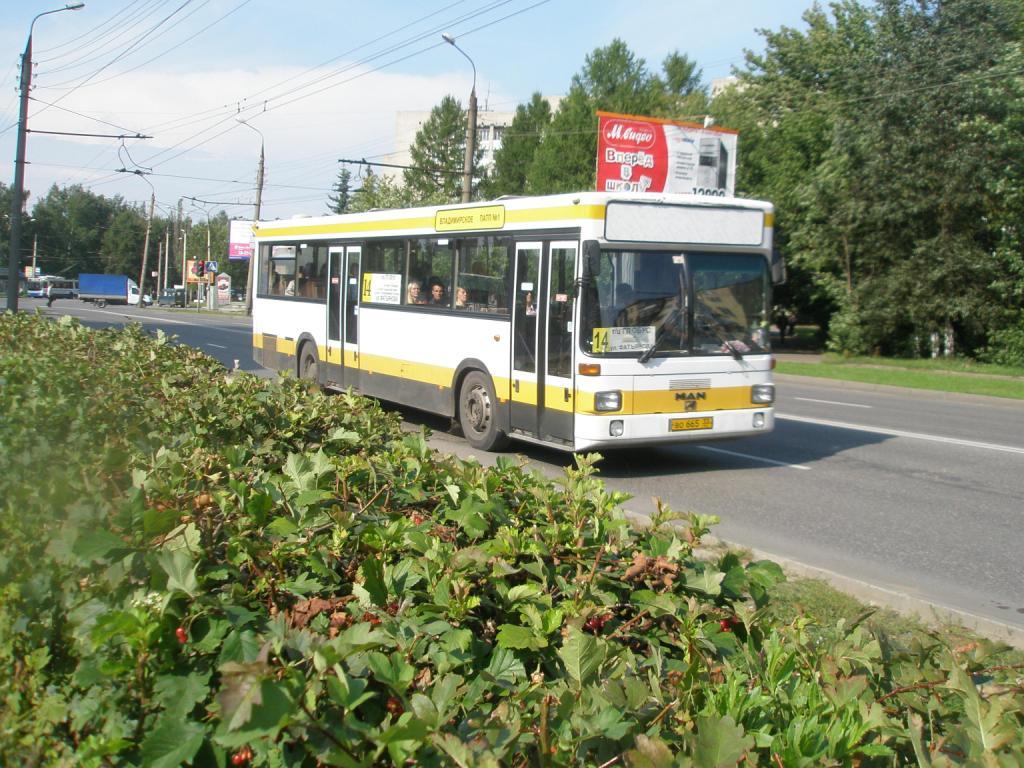 Vladimir region, MAN 791 SL202 # ВО 665 33