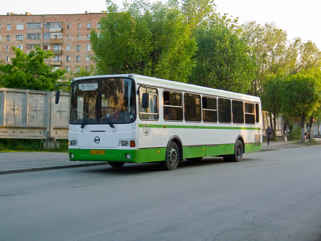 Автобус 446 хвойный красное