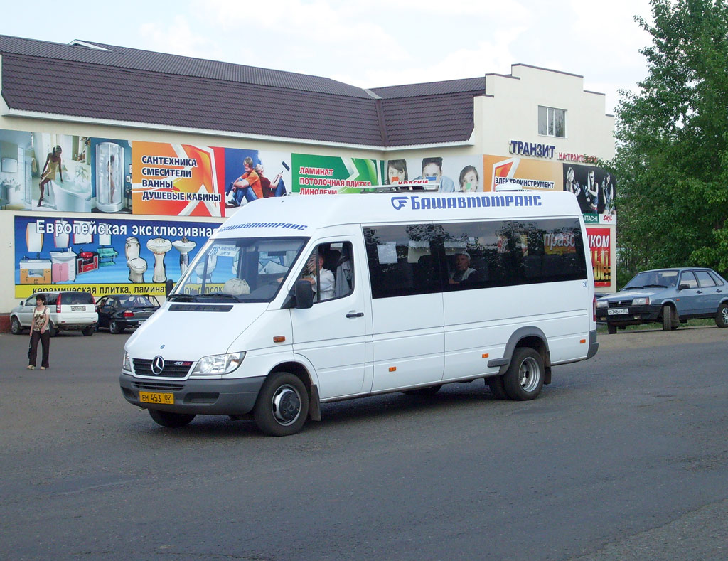 Башкортостан, 223614 (Mercedes-Benz Sprinter 413CDI) № 26