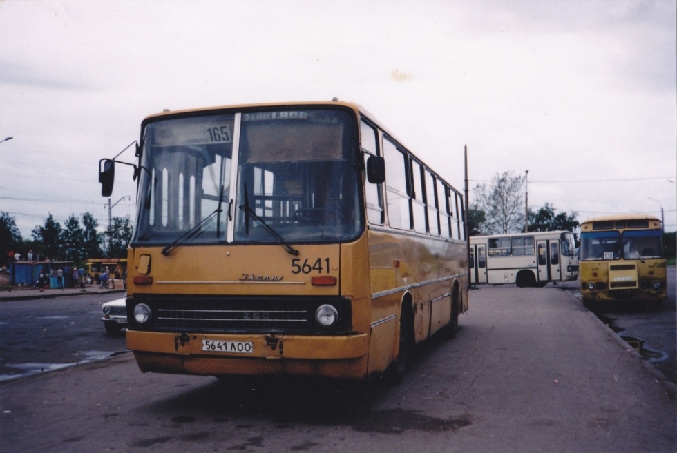 Санкт-Петербург, Ikarus 260.37 № 5641; Санкт-Петербург, Ikarus 280.64 № 5648