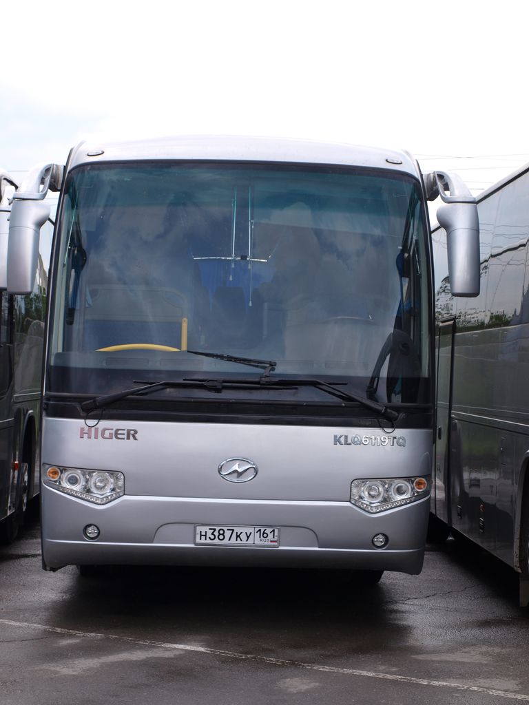 Ростовская область, Higer KLQ6119TQ № Н 387 КУ 161